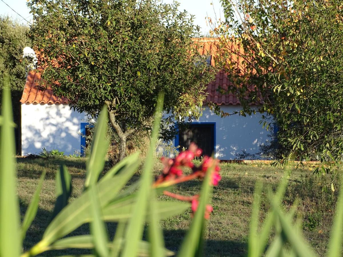 Quinta Das Teimosas By Stay In Alentejo Cercal do Alentejo Esterno foto